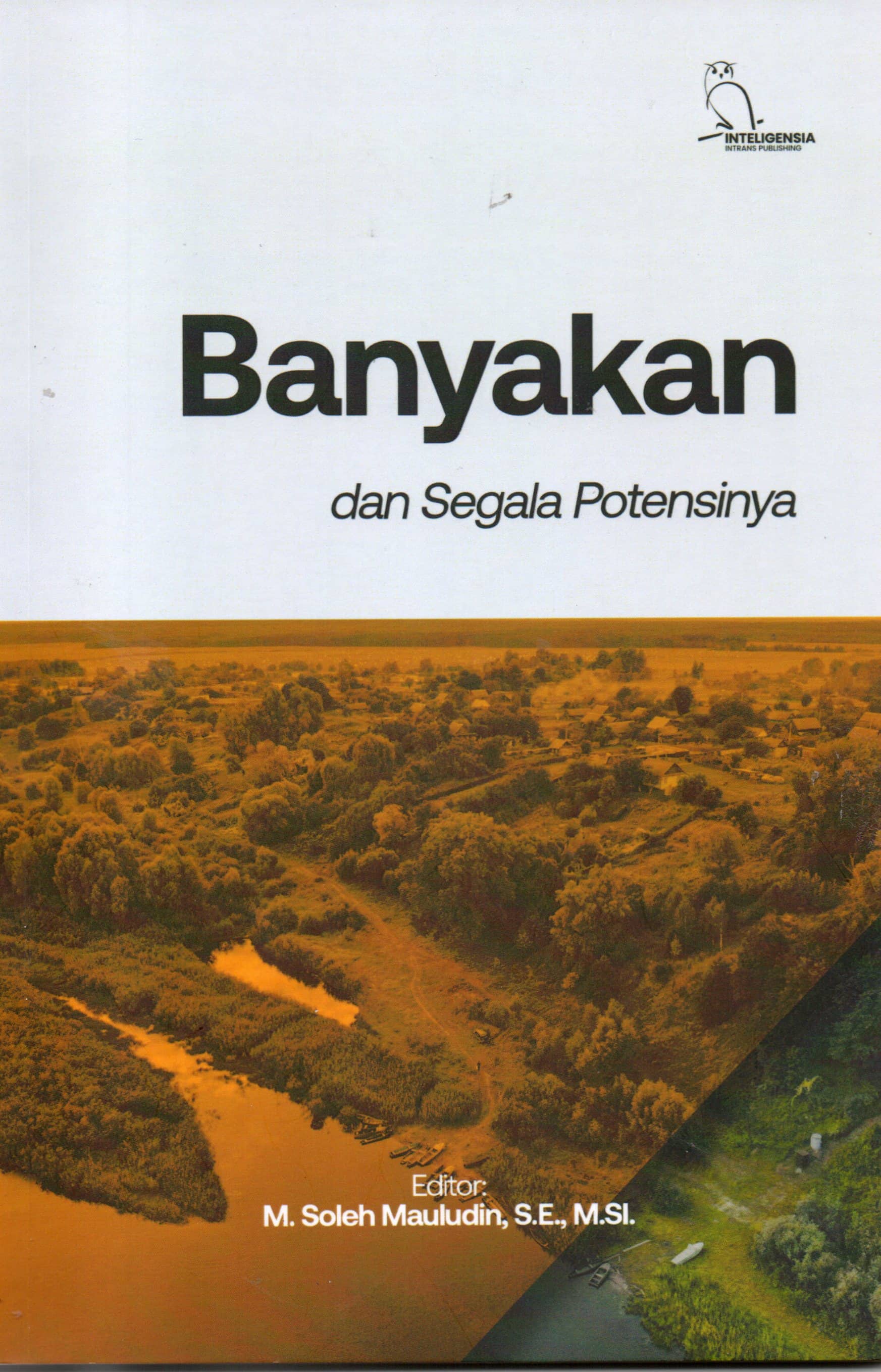 Banyakan dan segala potensinya