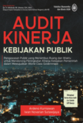 Audit Kinerja Kebijakan Publik