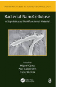 Image of Bacterial NanoCellulose