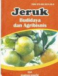 Jeruk Budidaya dan Agribisnis