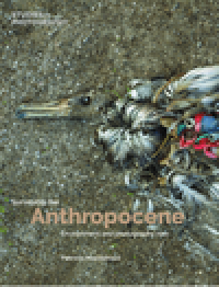 Surveying the Anthropocene : environment and photography now