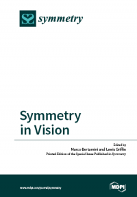 Symmetry in Vision