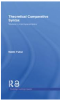 Theoretical Comparative Syntax